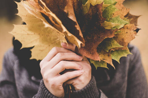 Everything You Need to Know Before Purchasing a Leaf Blower